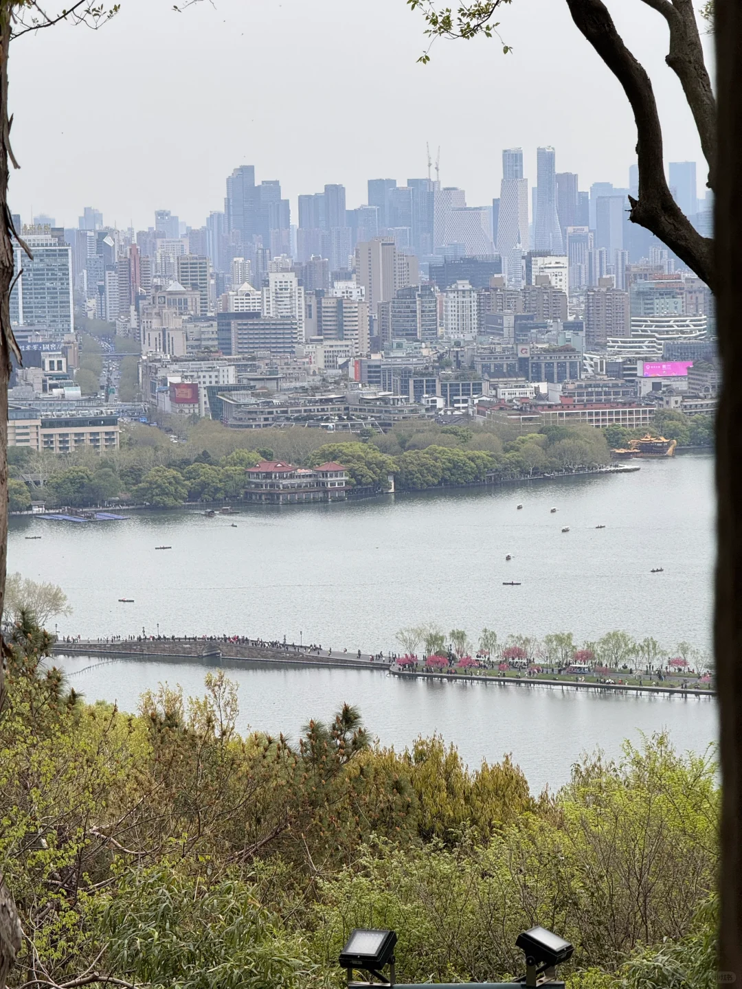 杭州人嘴真的严‼️这条小众路线太治愈了❗️
