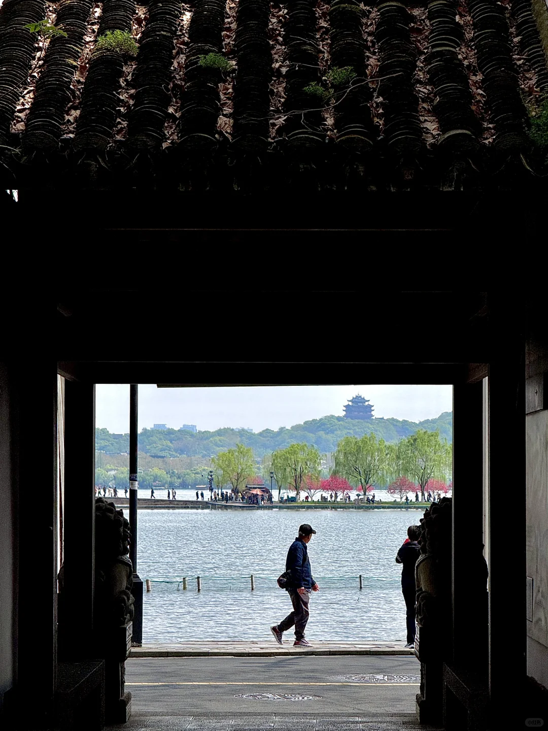 杭州人嘴真的严‼️这条小众路线太治愈了❗️