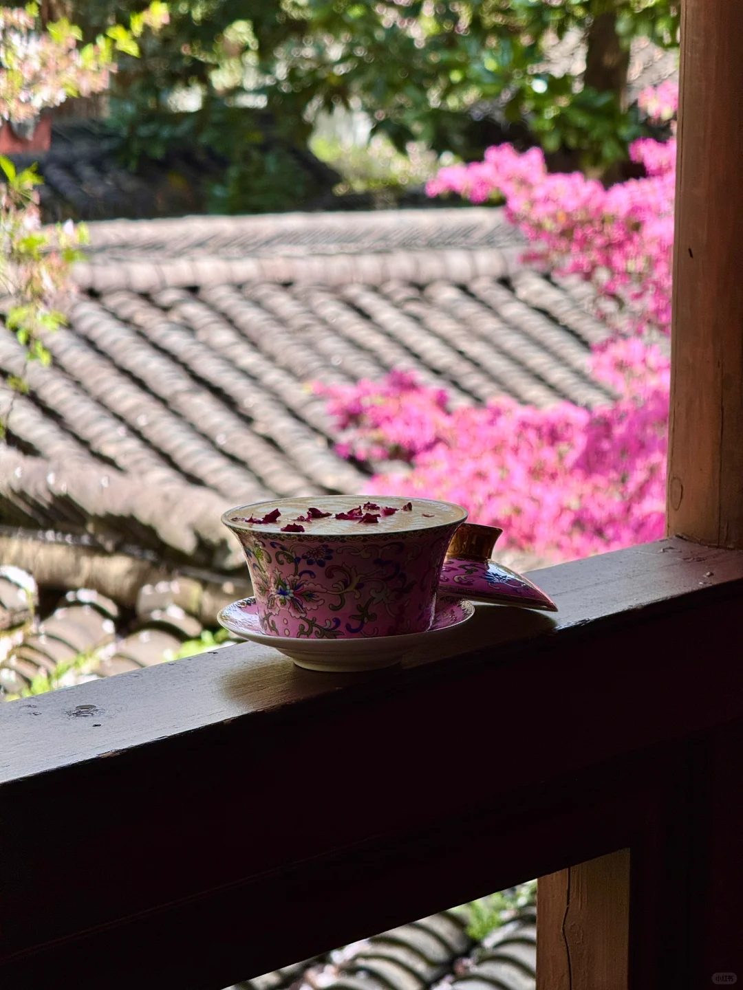 杭州人嘴真的严‼️这条小众路线太治愈了❗️