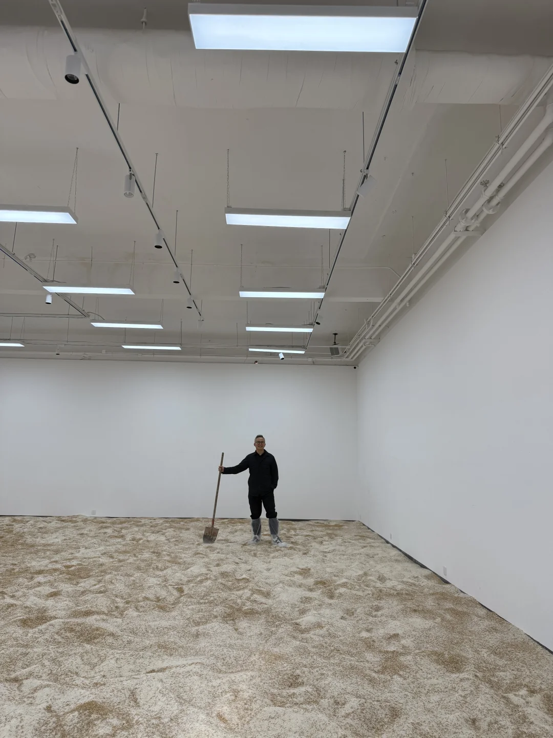 《淘金米》艺术展今天开幕，欢迎来玩！