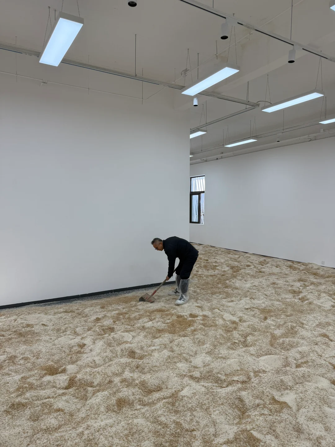 《淘金米》艺术展今天开幕，欢迎来玩！