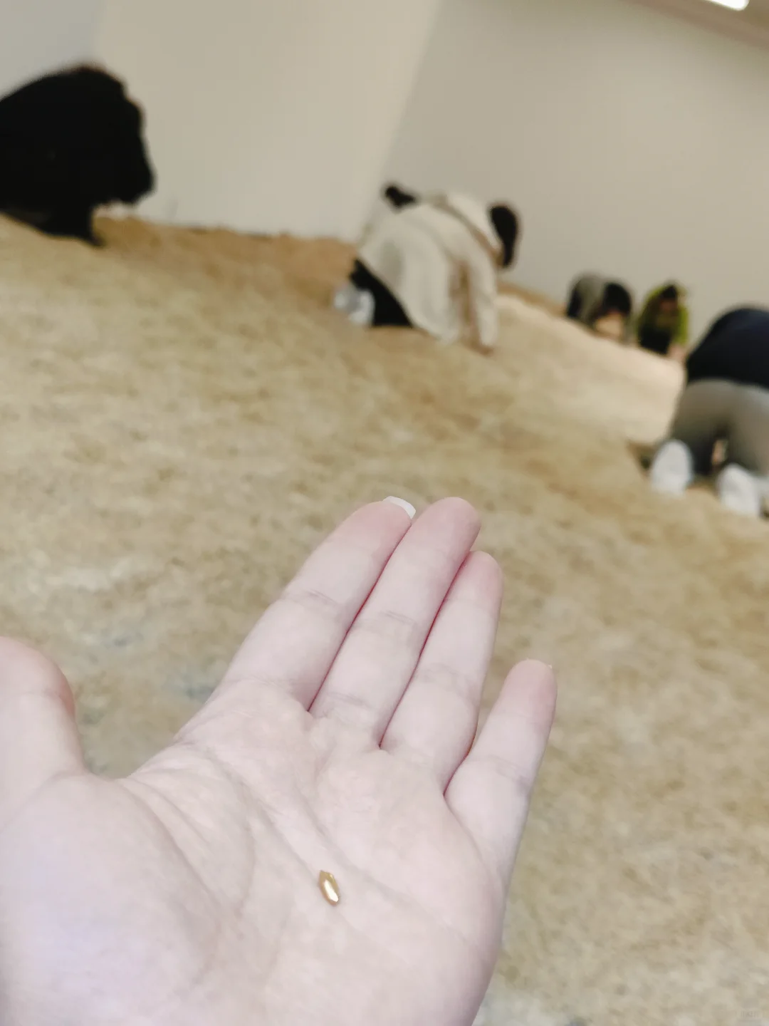 免费捡.5g真金♥798春辰艺术展捡钱最新攻略