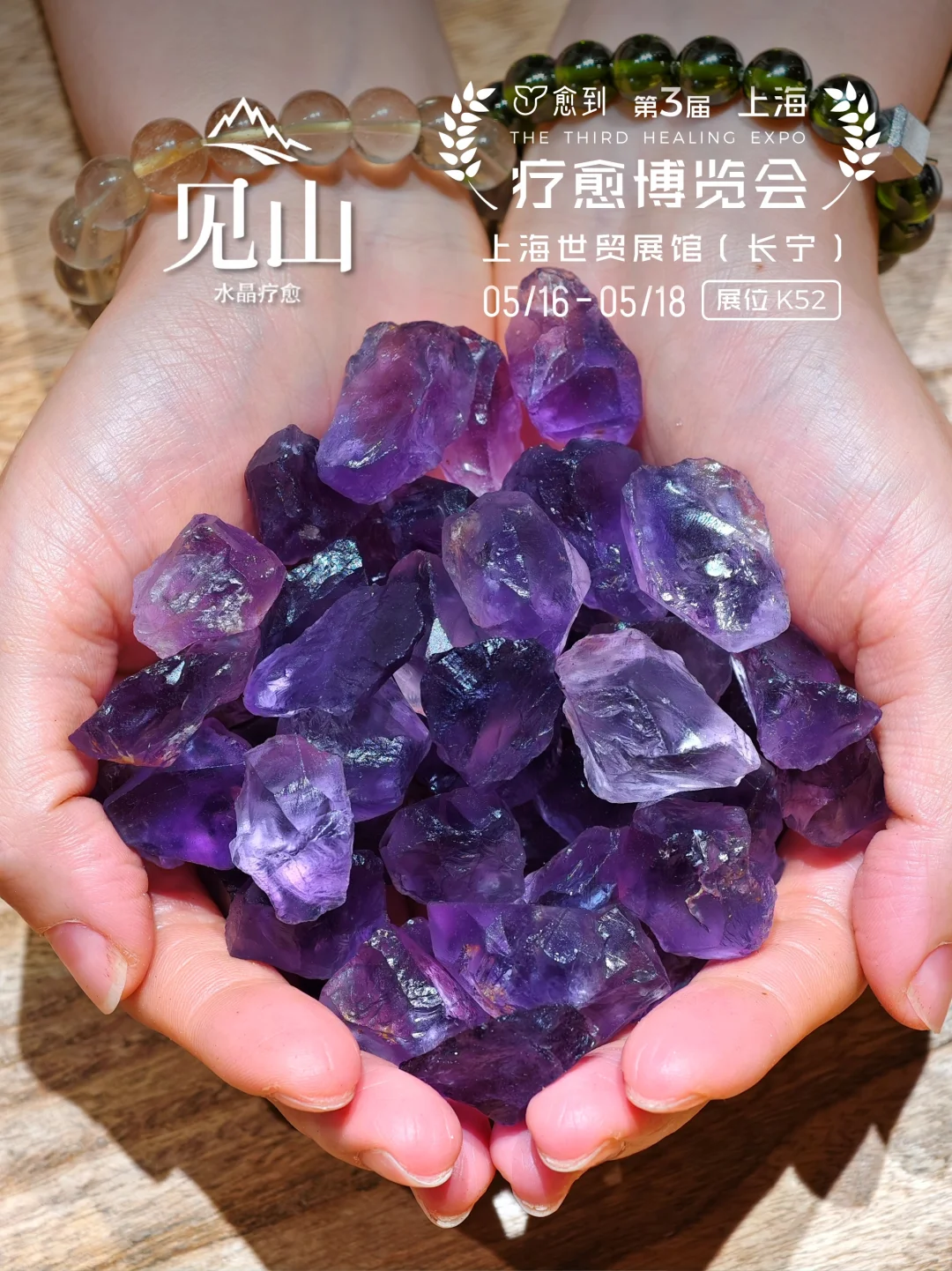 谁想来上海参加博览会