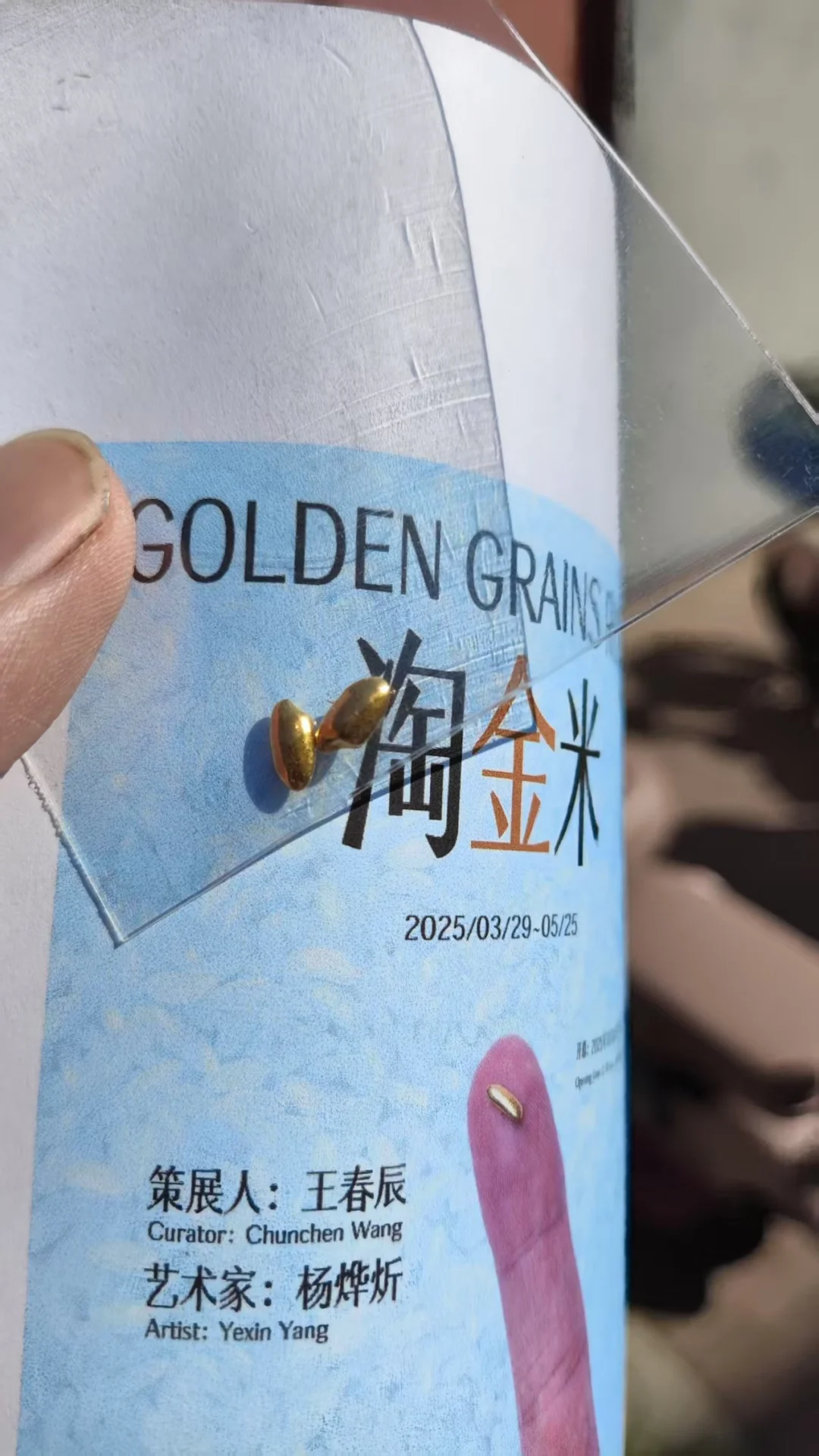 吓人！有人淘到了7颗金米≈2400RMB