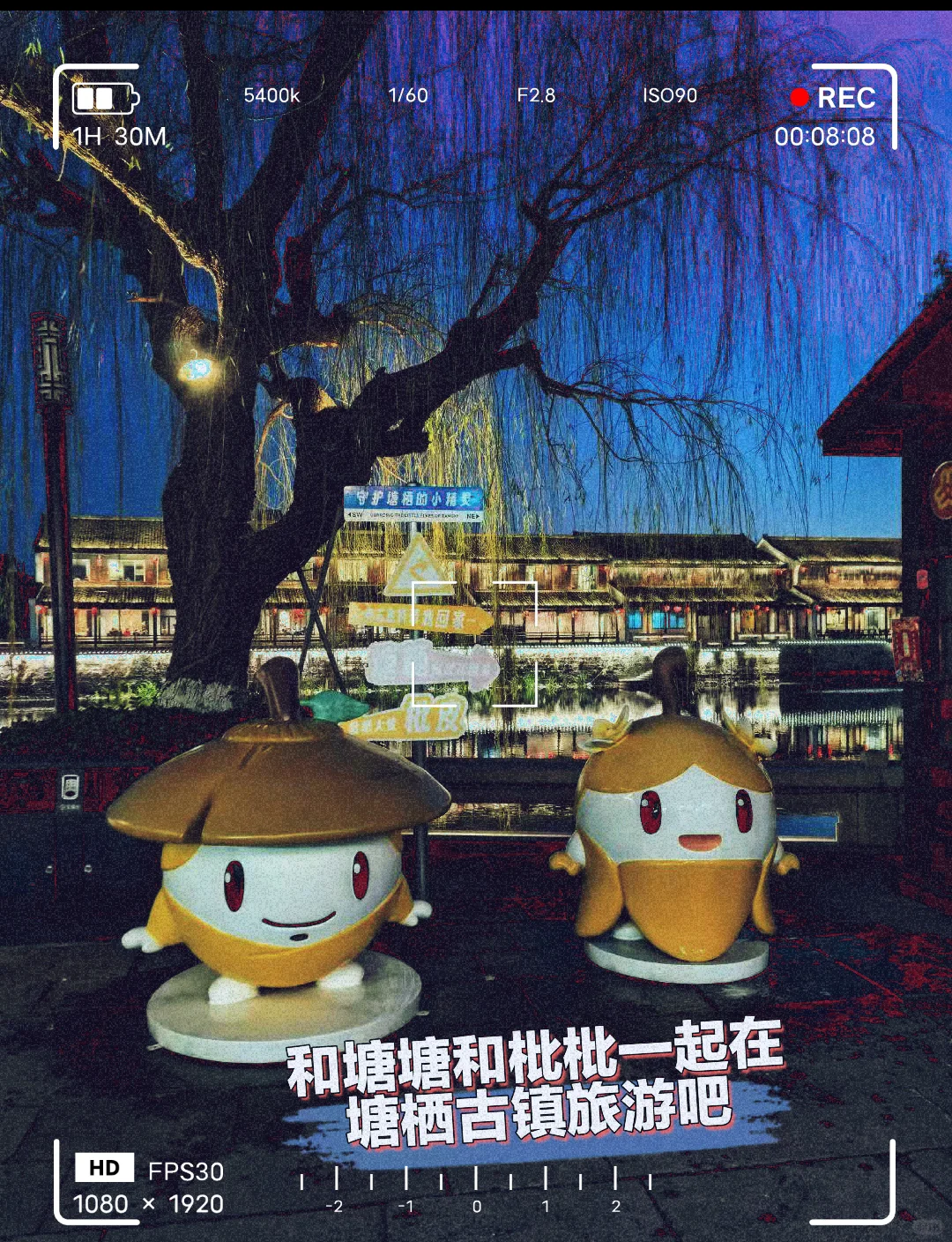 来塘栖古镇吃枇杷?