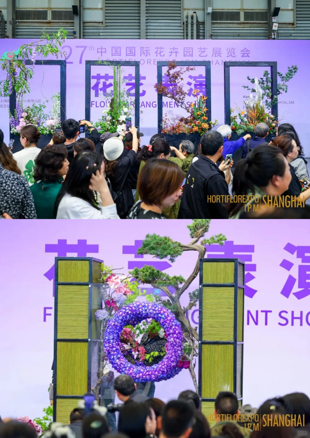 直击现场｜第27届中国国际花卉园艺展览会