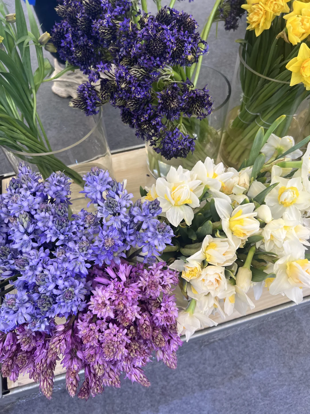 花卉园艺展览会一日游～