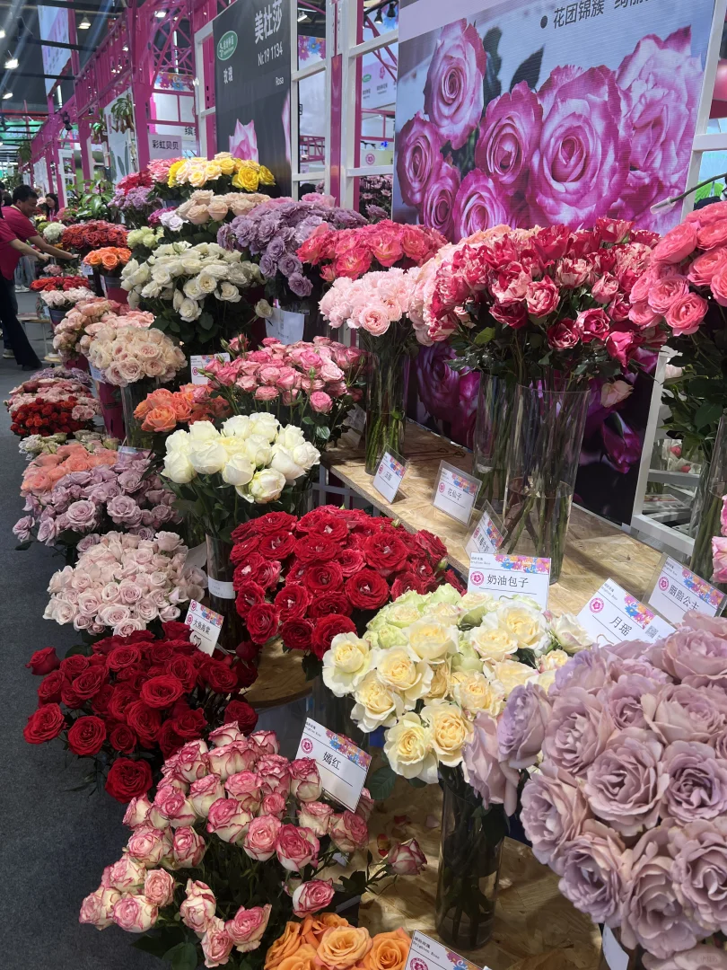 海妈也来国际花卉园艺展览会啦，欢迎来偶遇