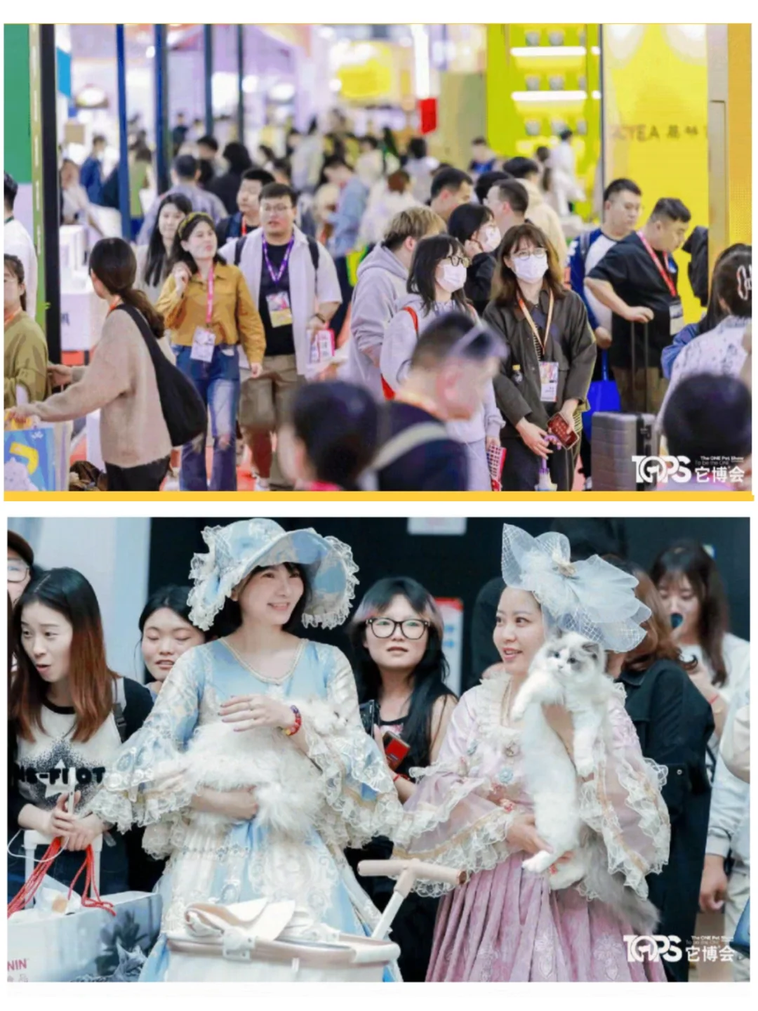 2025上海它博会逛展攻略+免费送?