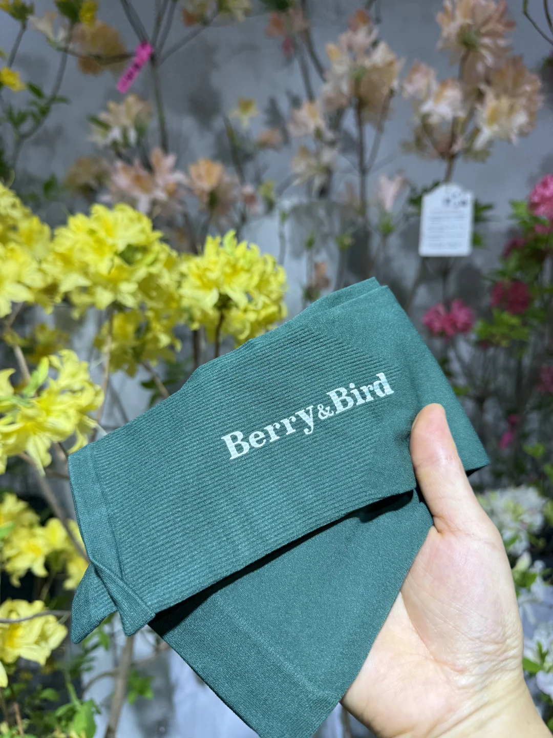 Berry&Bird又给大家送福利啦～上海园艺展