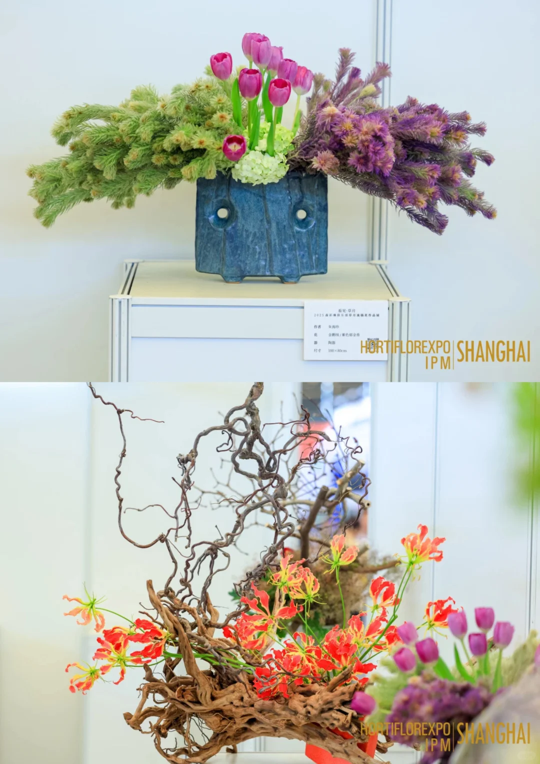 直击现场｜第27届中国国际花卉园艺展览会