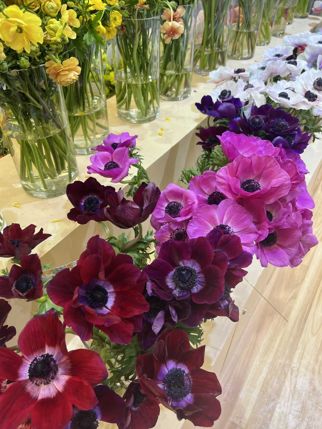 花卉园艺展览会一日游～