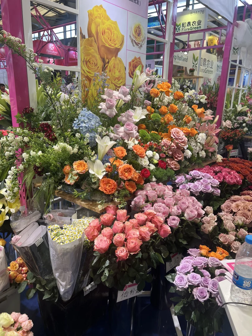 海妈也来国际花卉园艺展览会啦，欢迎来偶遇