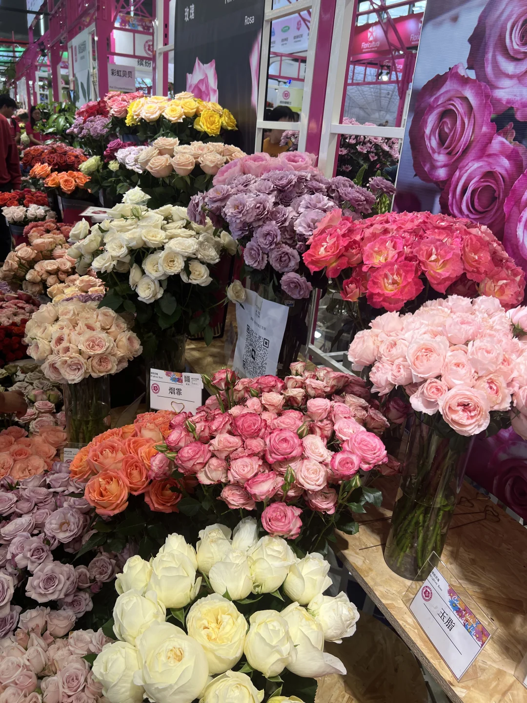 花卉园艺展览会一日游～