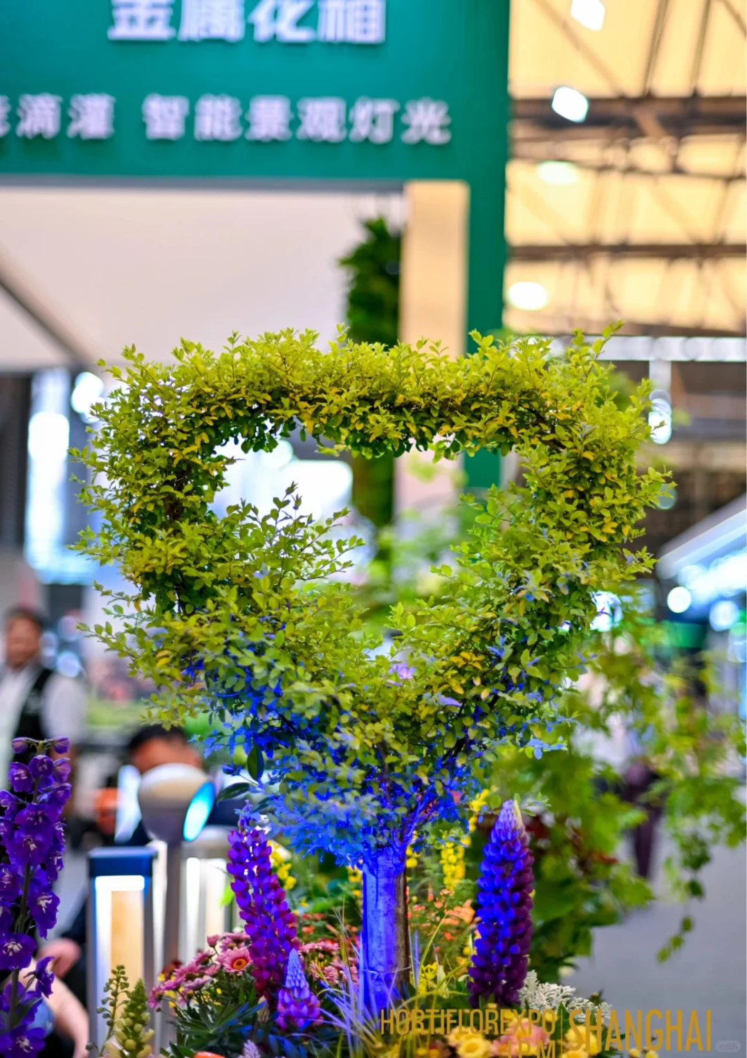 直击现场｜第27届中国国际花卉园艺展览会