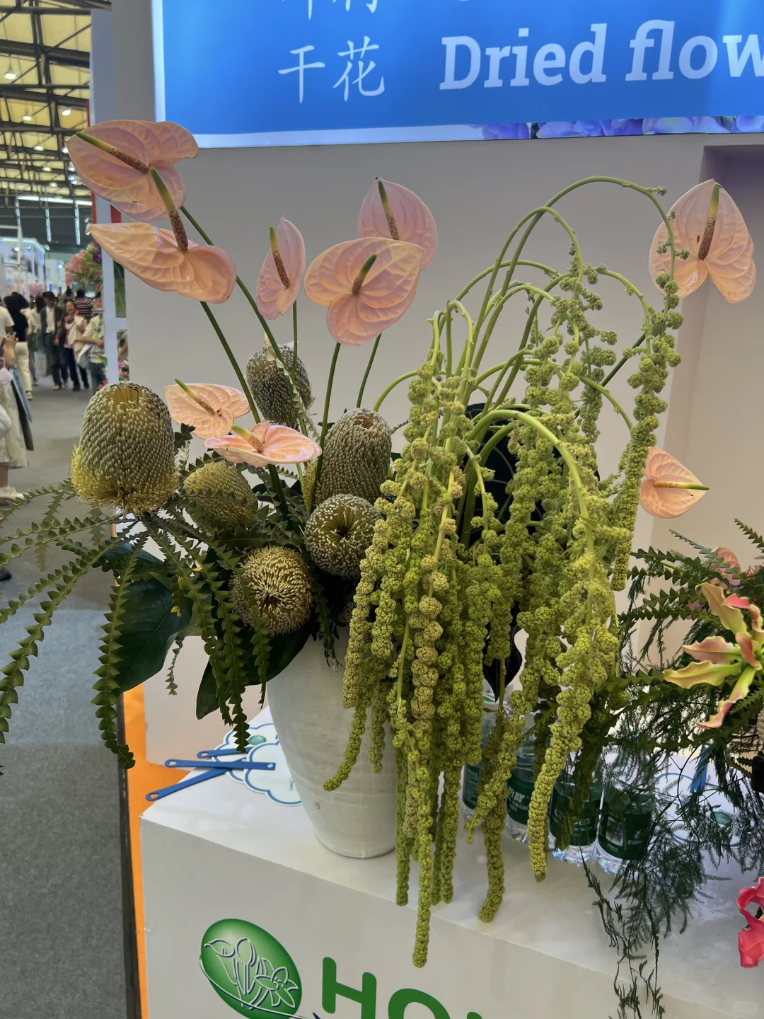 花卉园艺展览会一日游～