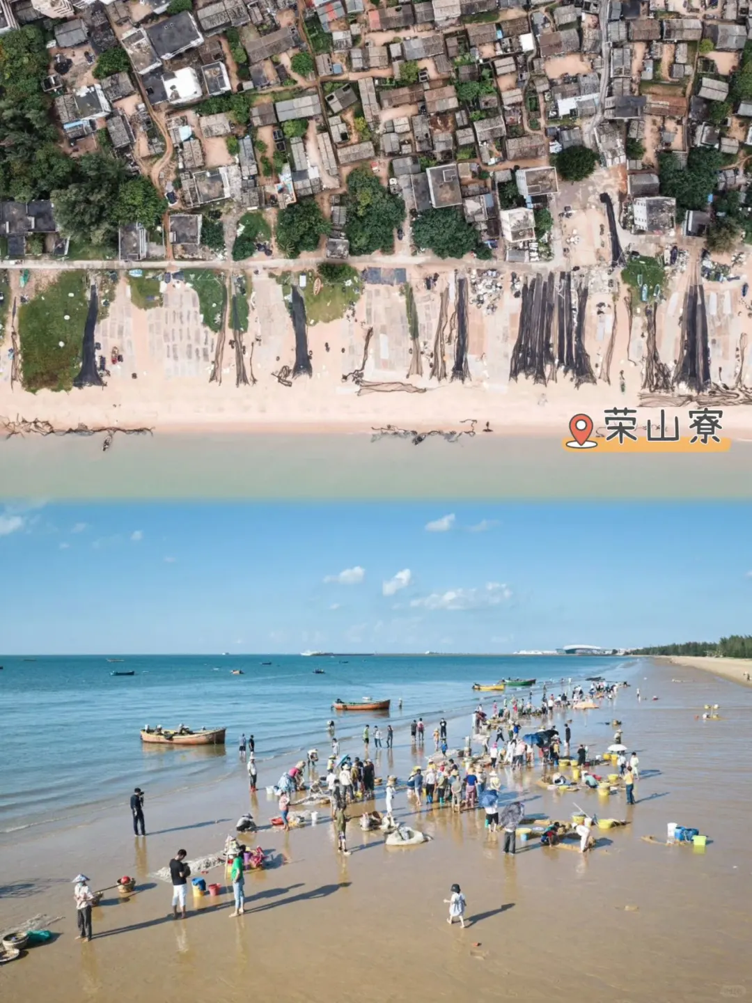 消博会超全攻略，一篇就够啦