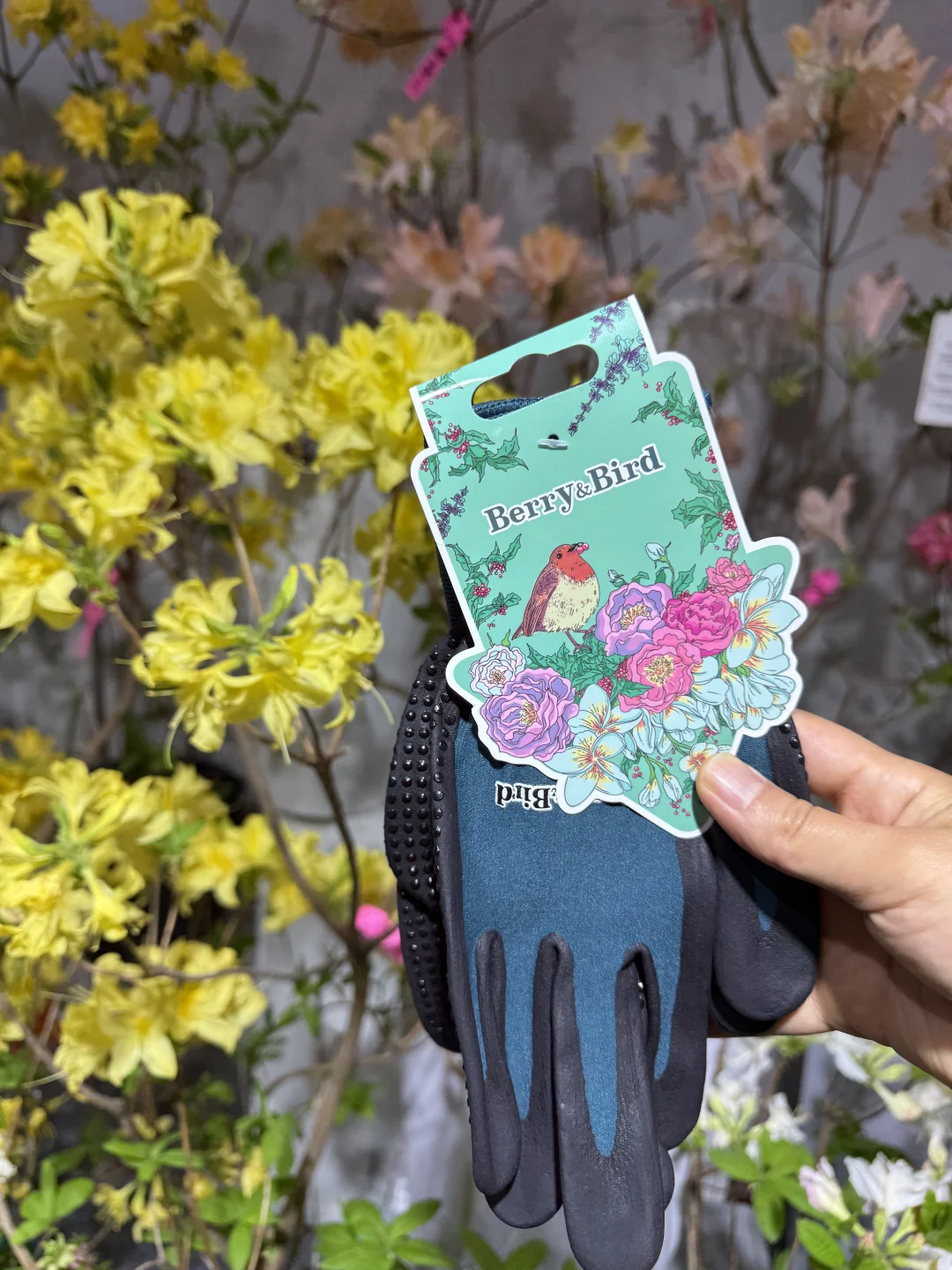 Berry&Bird又给大家送福利啦～上海园艺展