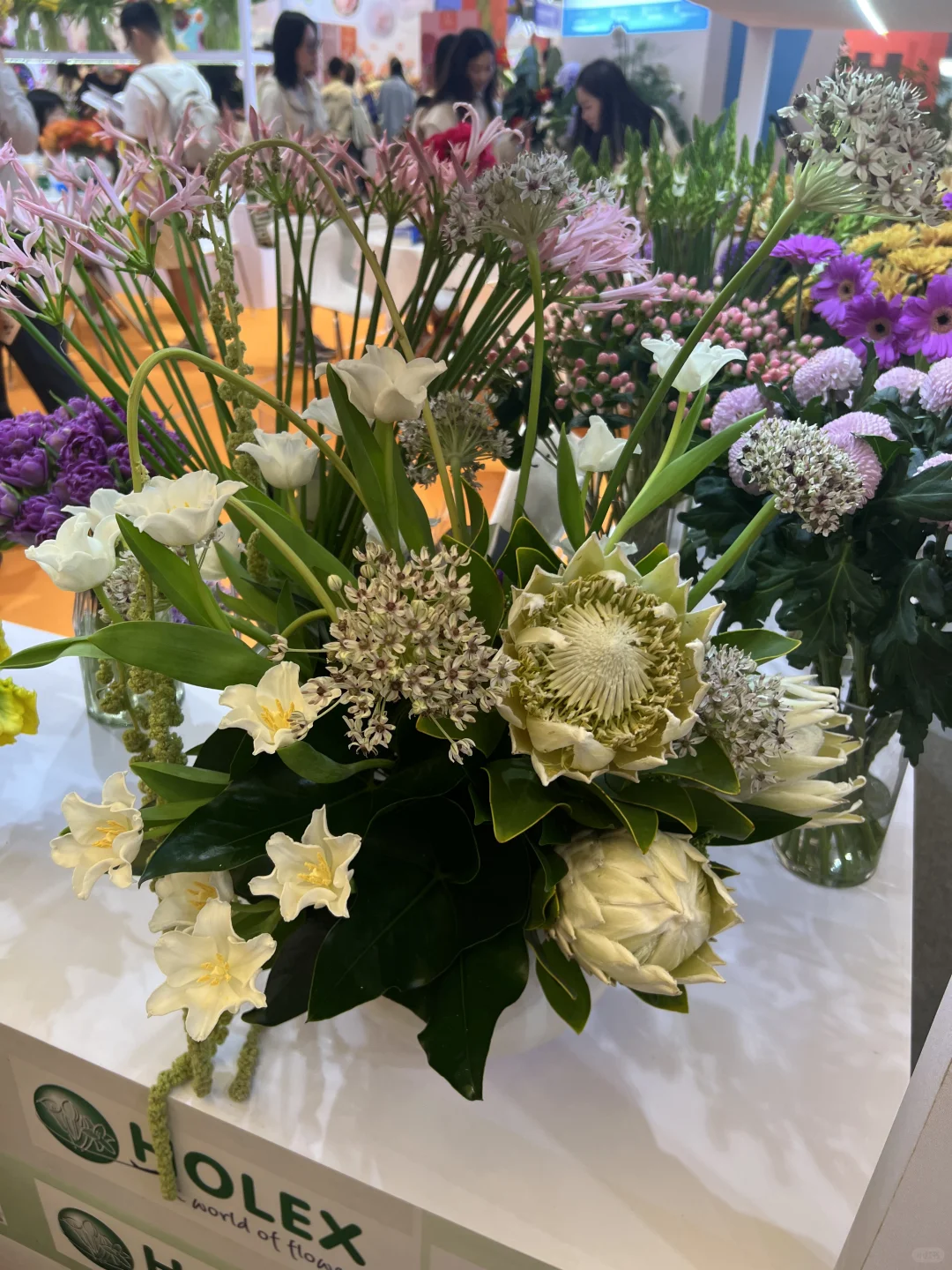 花卉园艺展览会一日游～