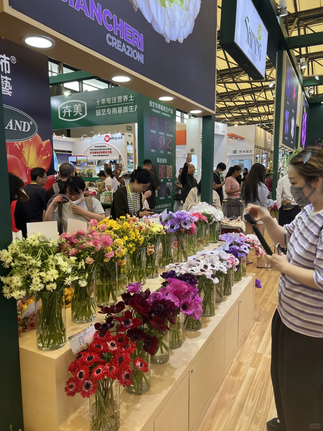 花卉园艺展览会一日游～