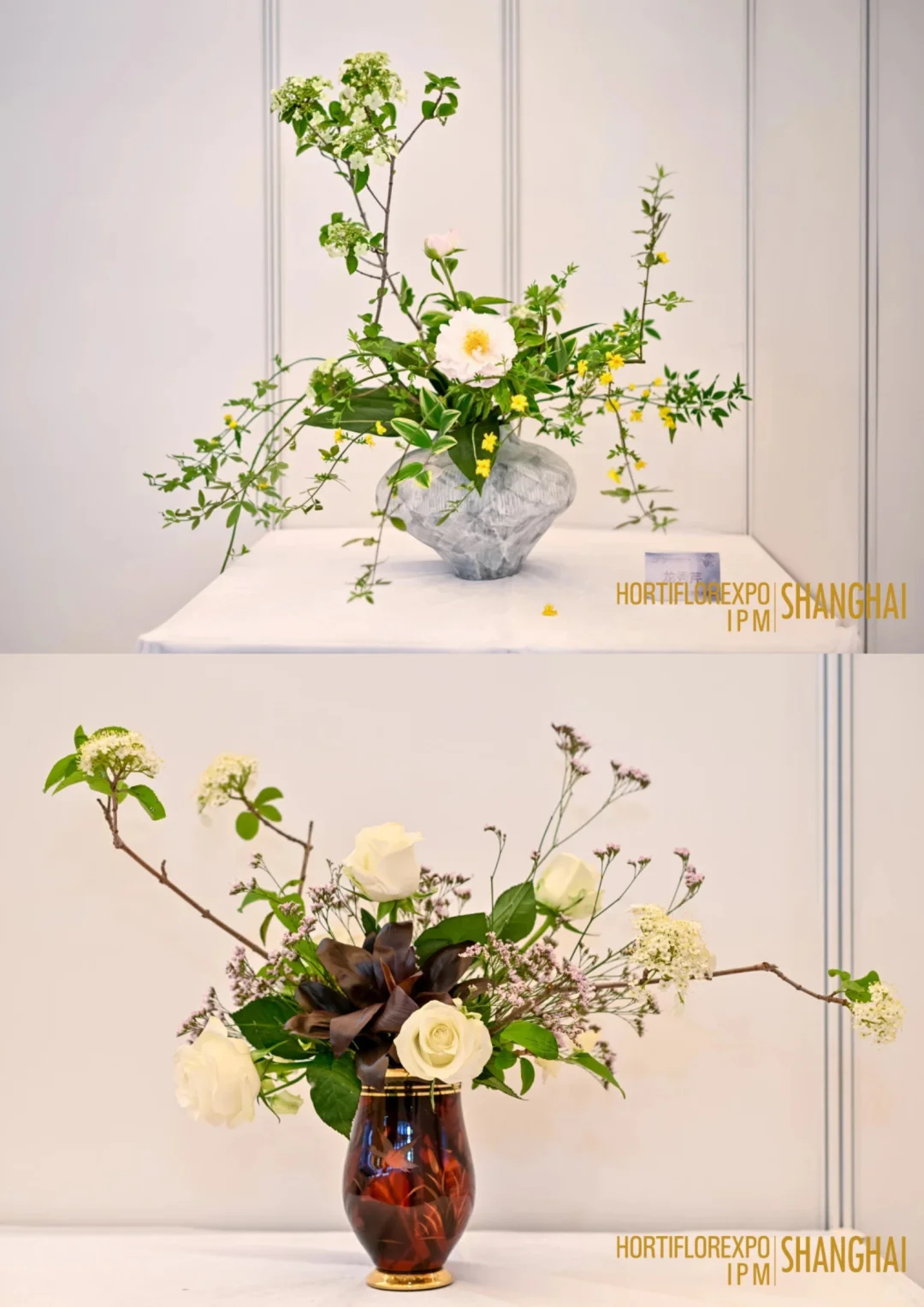 直击现场｜第27届中国国际花卉园艺展览会