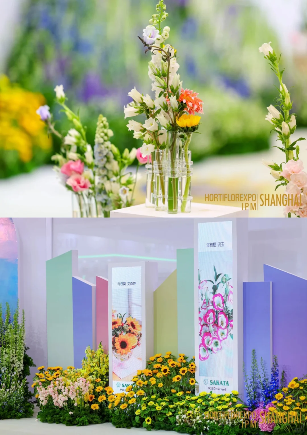 直击现场｜第27届中国国际花卉园艺展览会