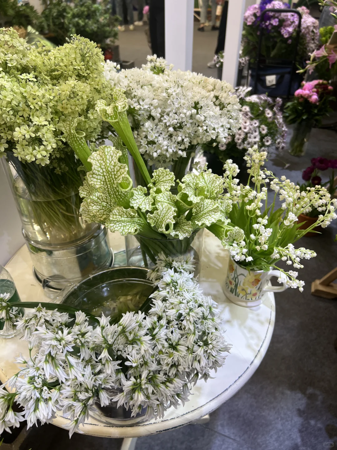 花卉园艺展览会一日游～