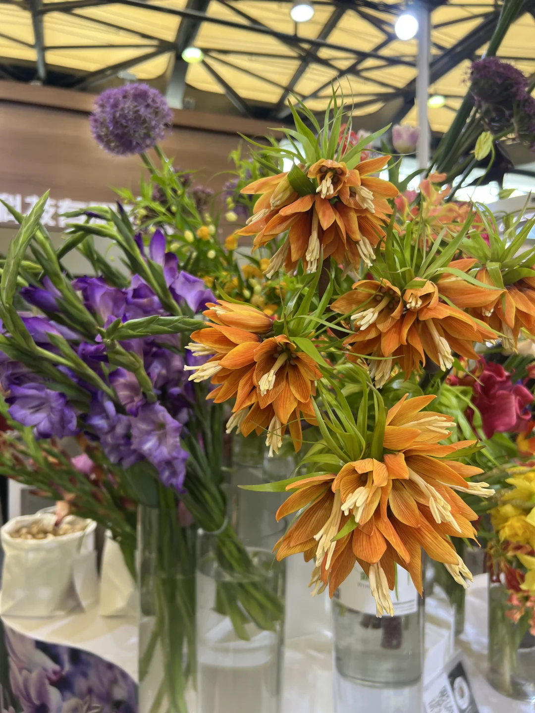 花卉园艺展览会一日游～