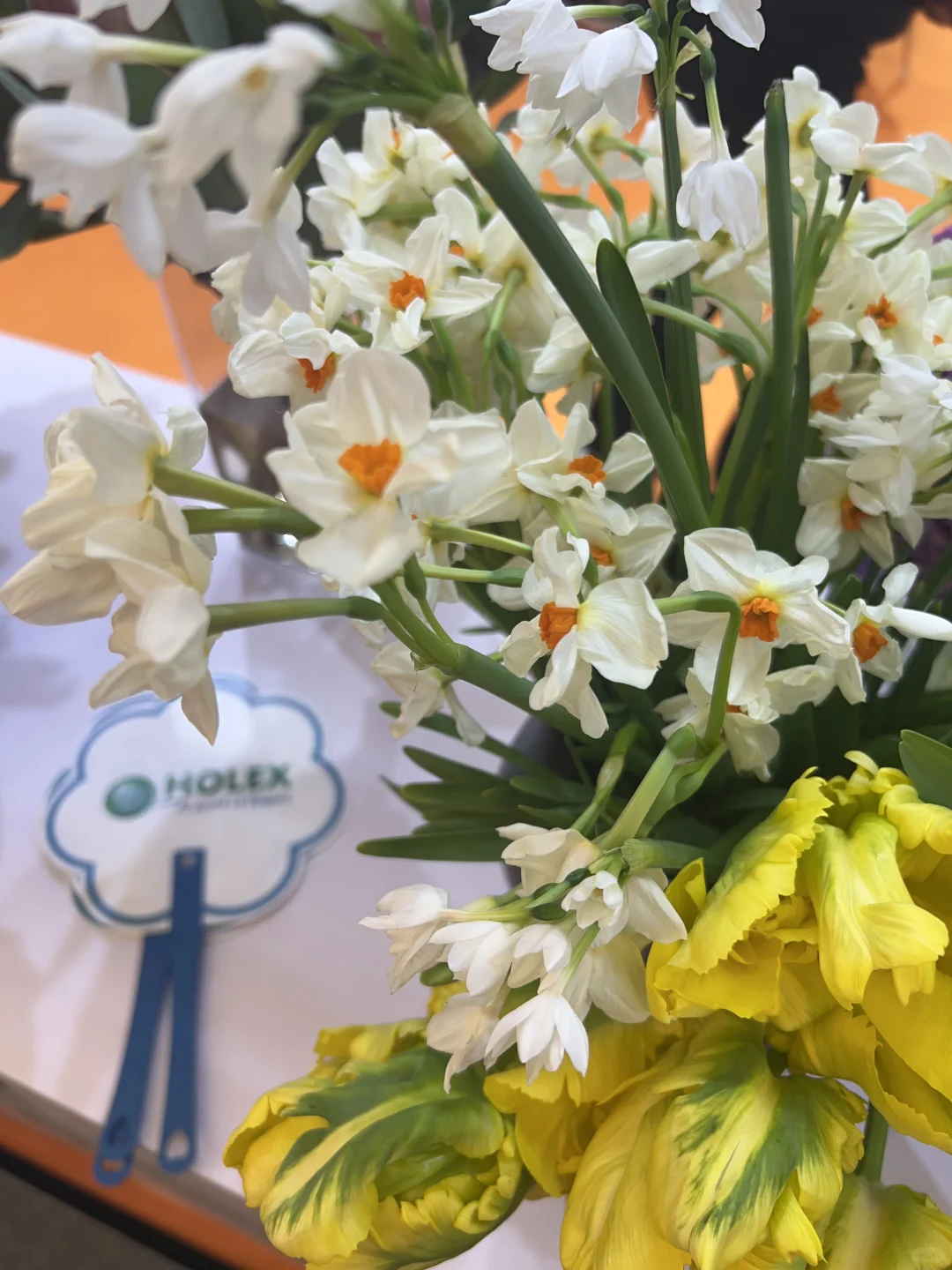 花卉园艺展览会一日游～