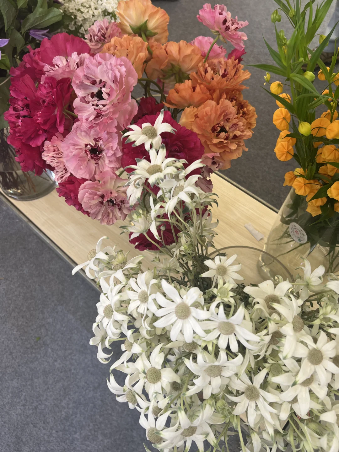 花卉园艺展览会一日游～