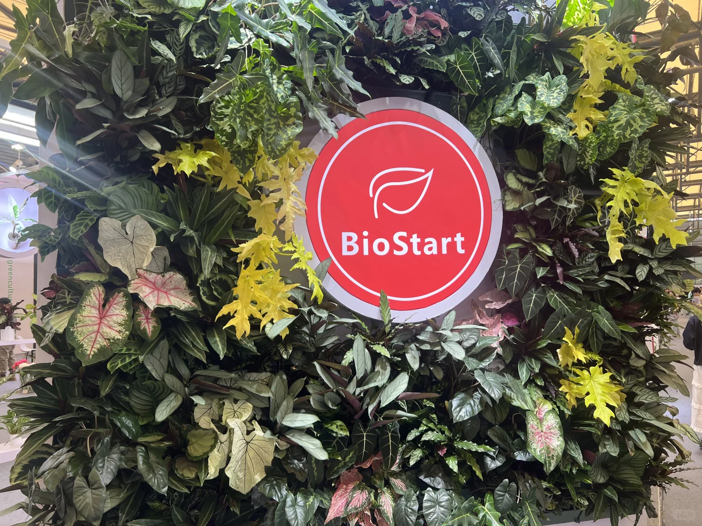 海妈也来国际花卉园艺展览会啦，欢迎来偶遇