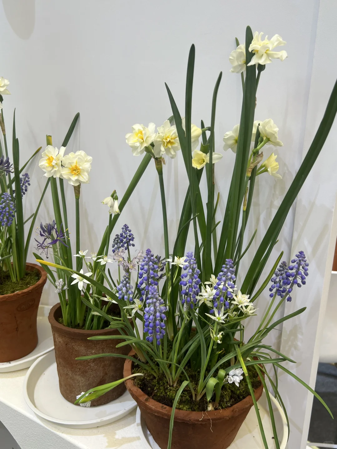 花卉园艺展览会一日游～