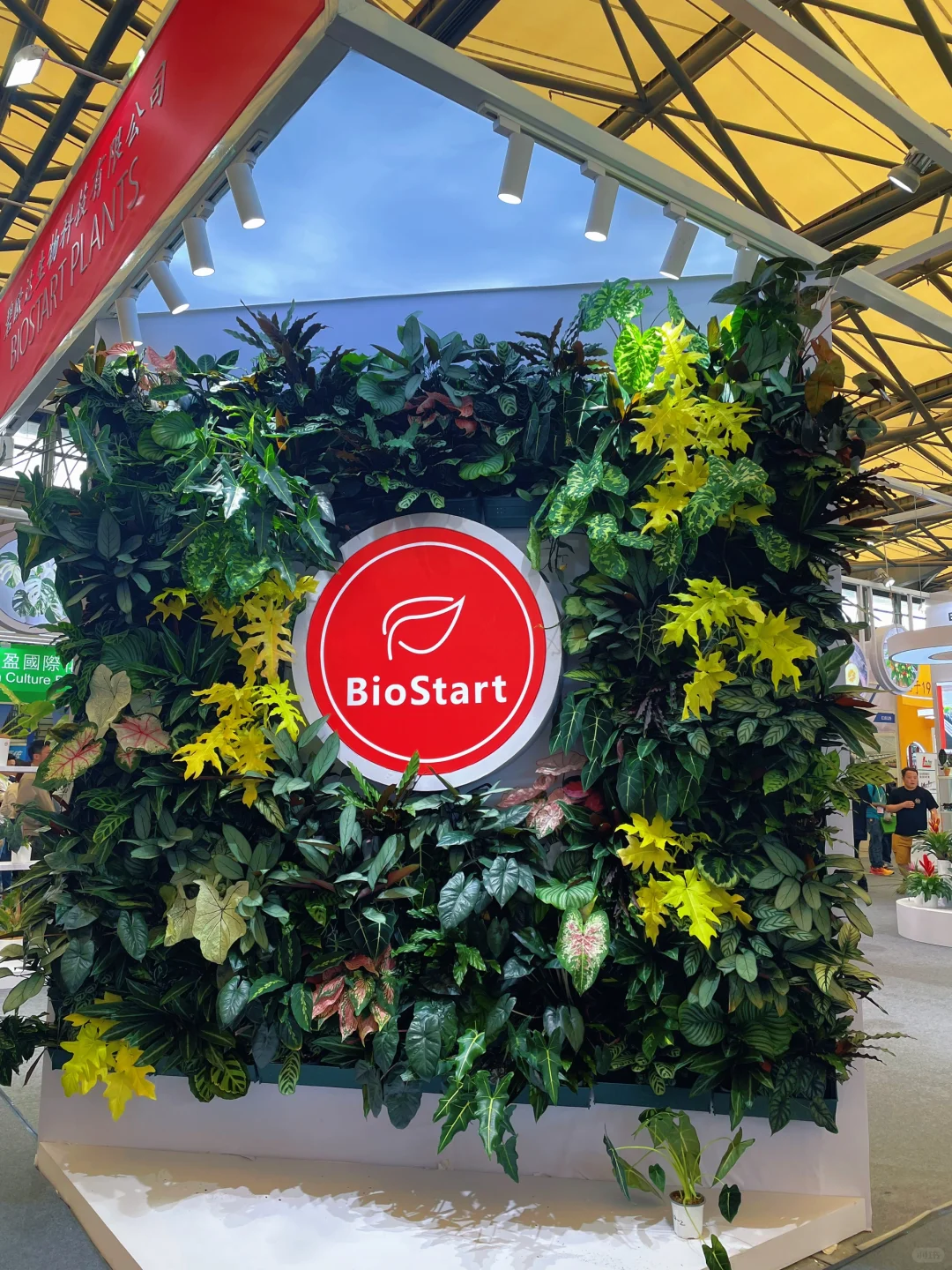 ?‍♀️‍➡️单人暴走2025上海国际花卉展