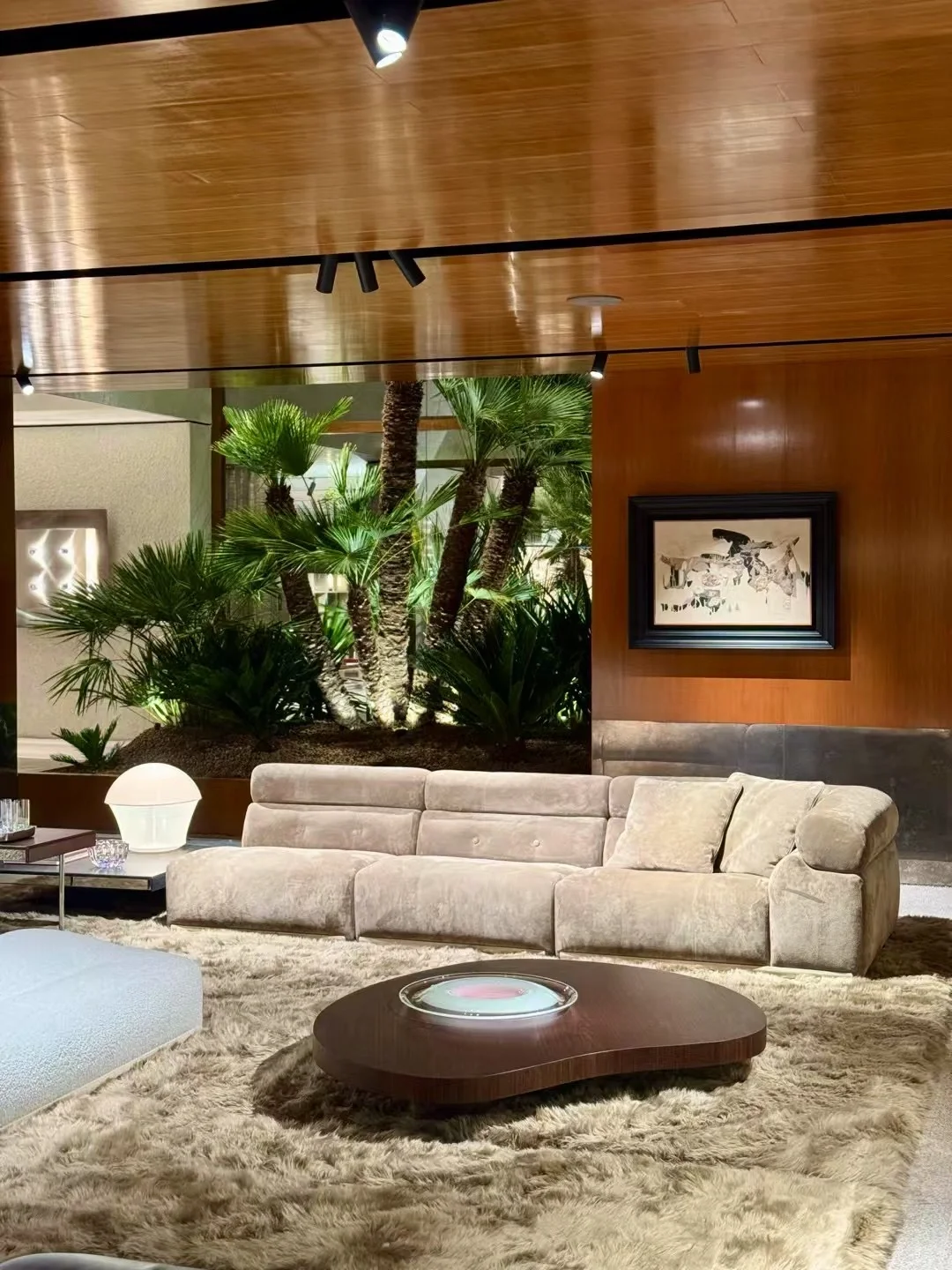 Minotti ｜ 2025新品速览‼️