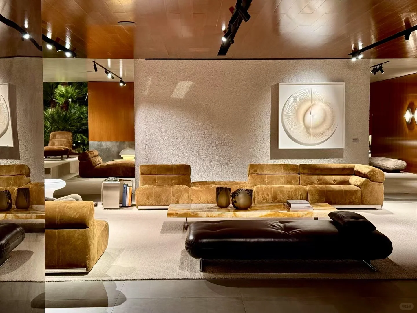 Minotti ｜ 2025新品速览‼️