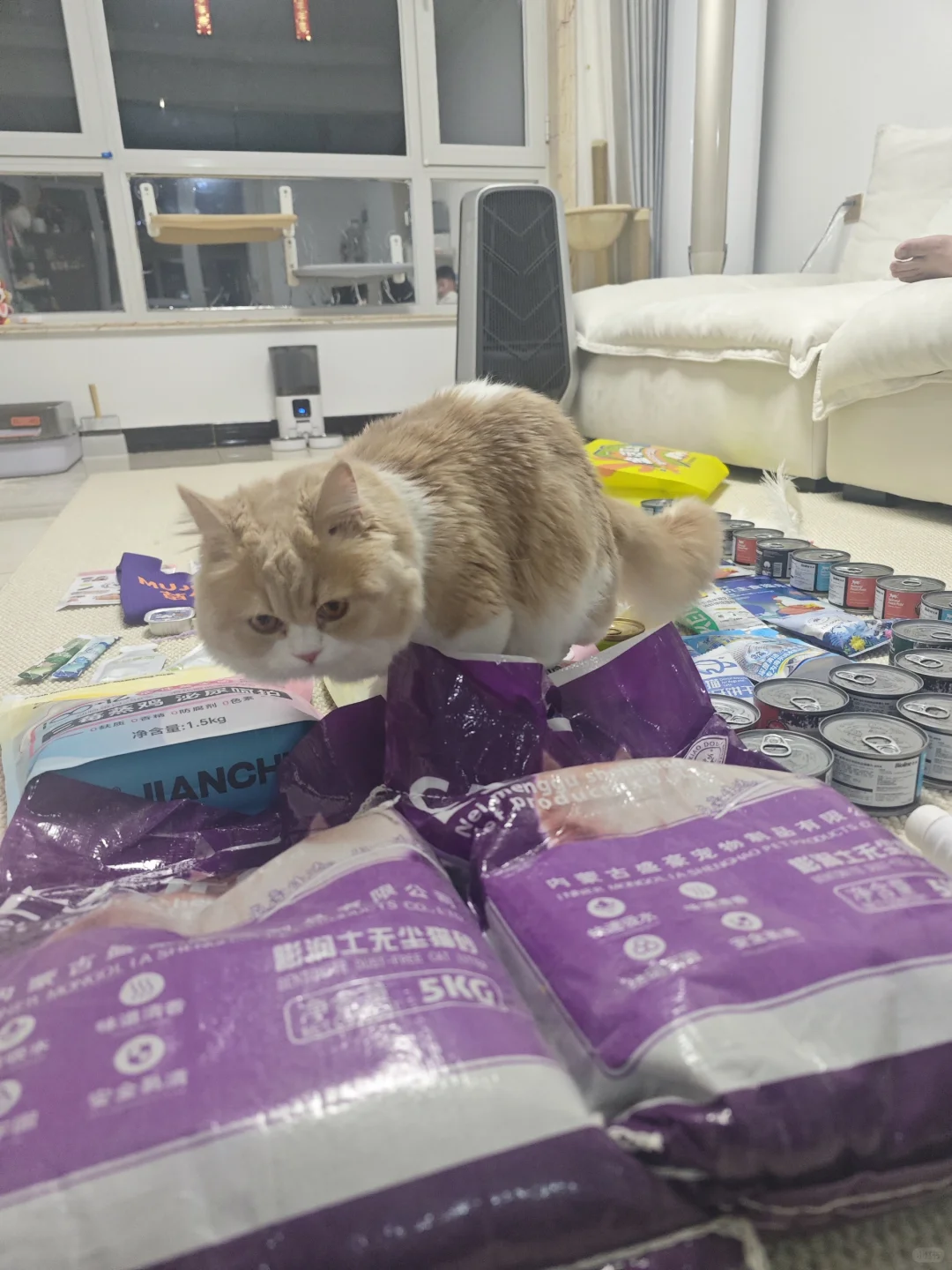 金诺亚太展会去了！羊毛薅了！