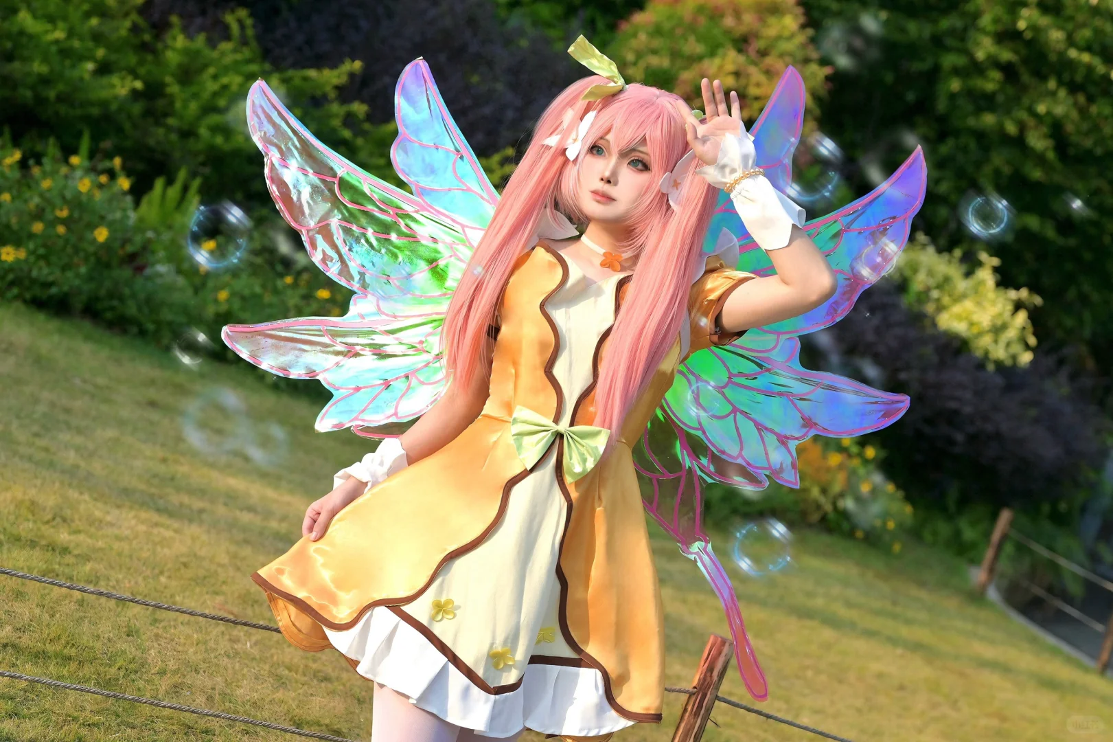 求50点赞助力自由行