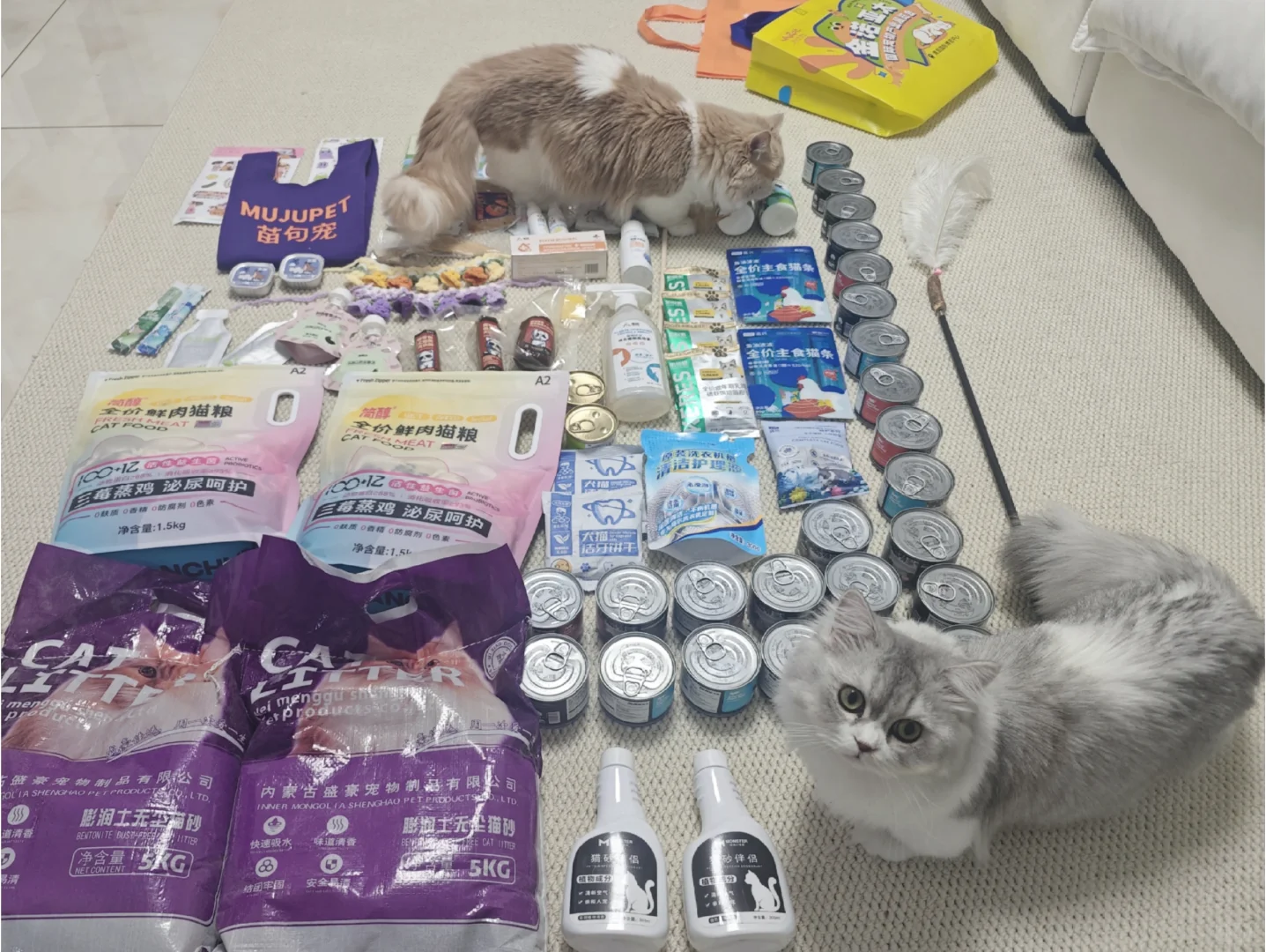 金诺亚太展会去了！羊毛薅了！