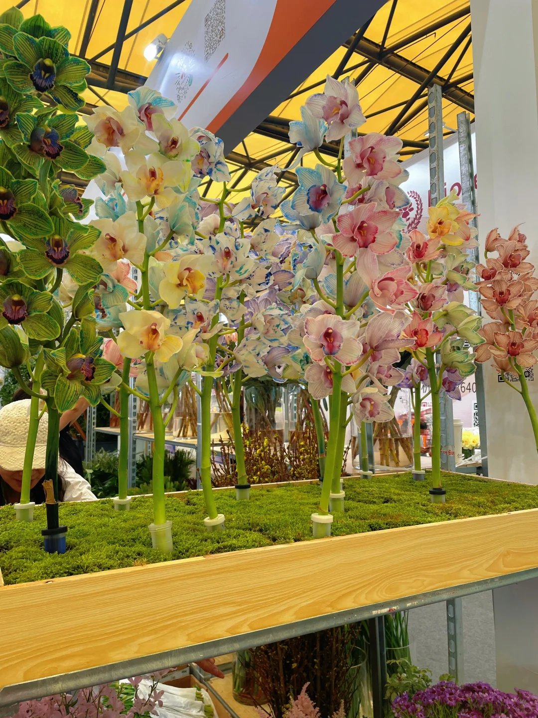 ?‍♀️‍➡️单人暴走2025上海国际花卉展