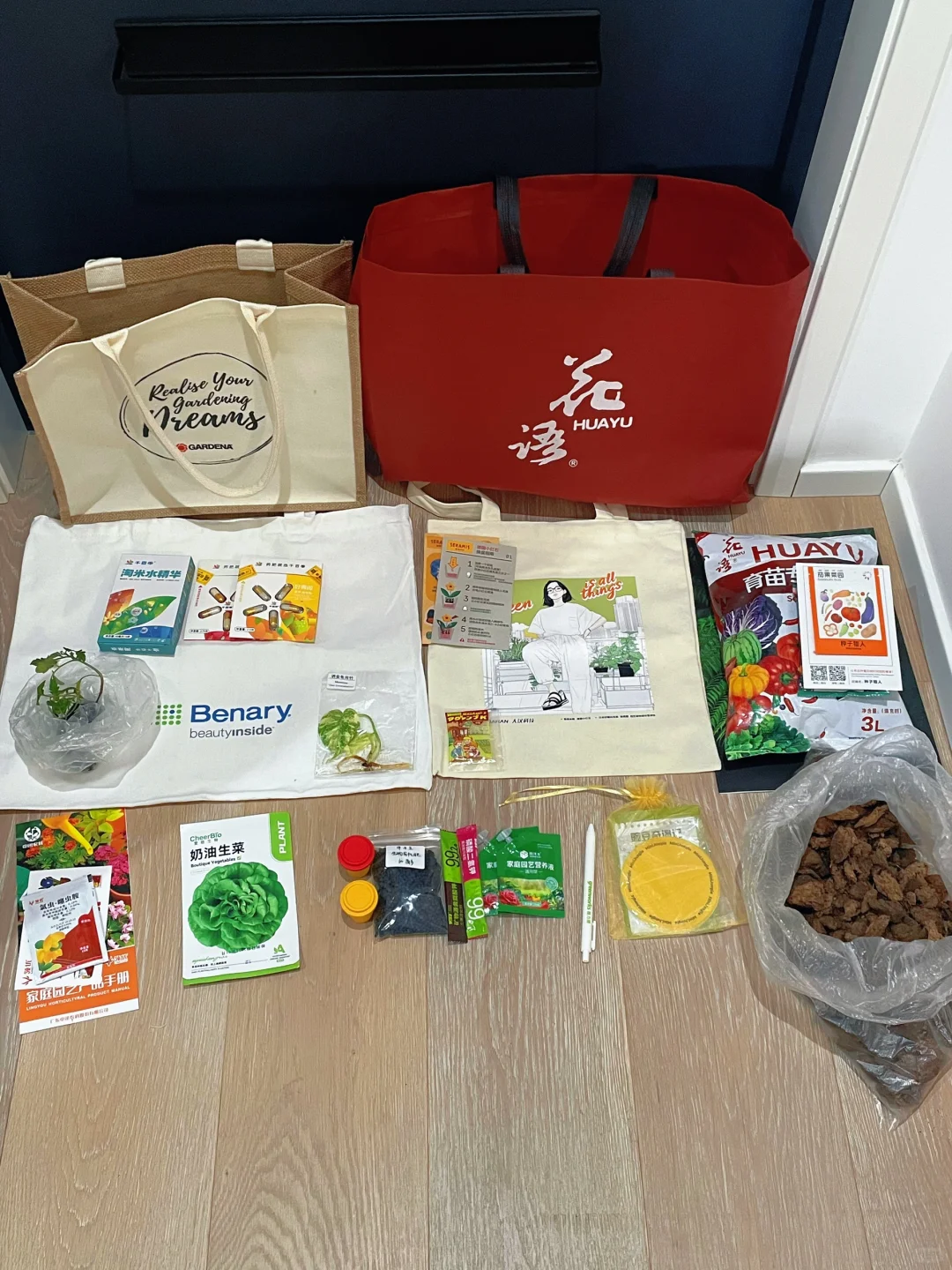 ?‍♀️‍➡️单人暴走2025上海国际花卉展