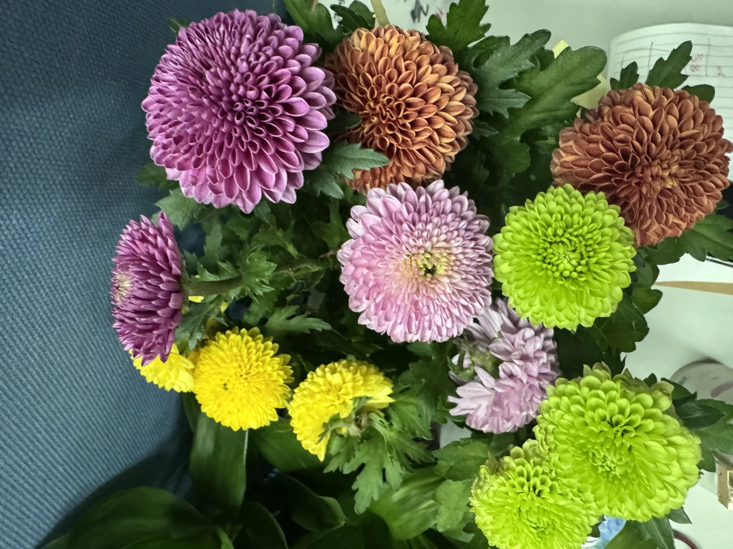 国际花卉园艺展览会，美