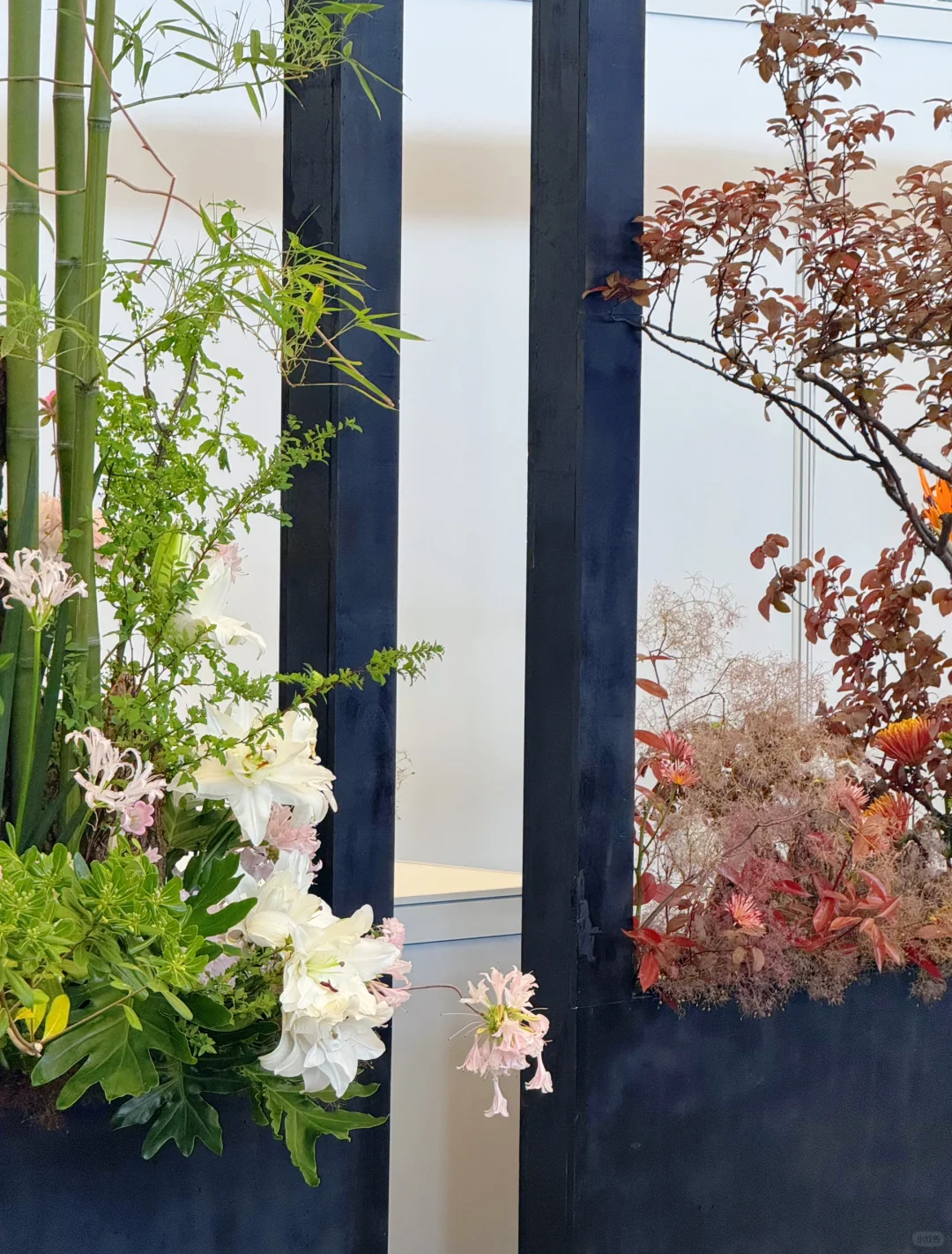 逛上海国际花展收获，附打卡攻略✅