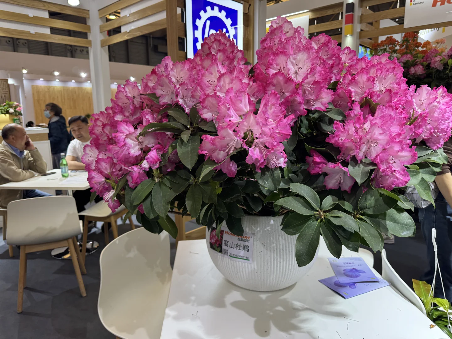 国际花卉园艺展览会，美