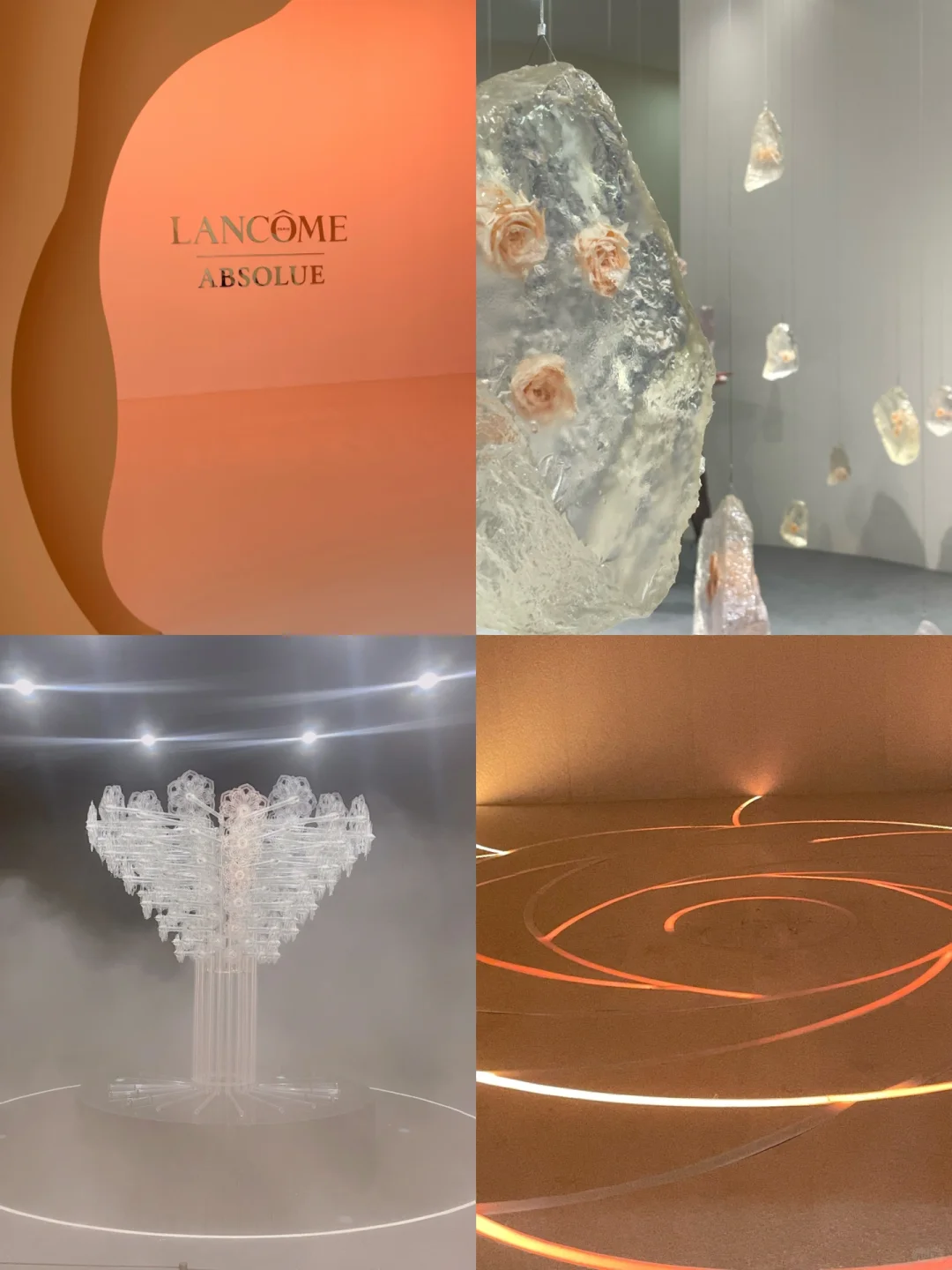 展览｜兰蔻艺术展「一瞬一生」