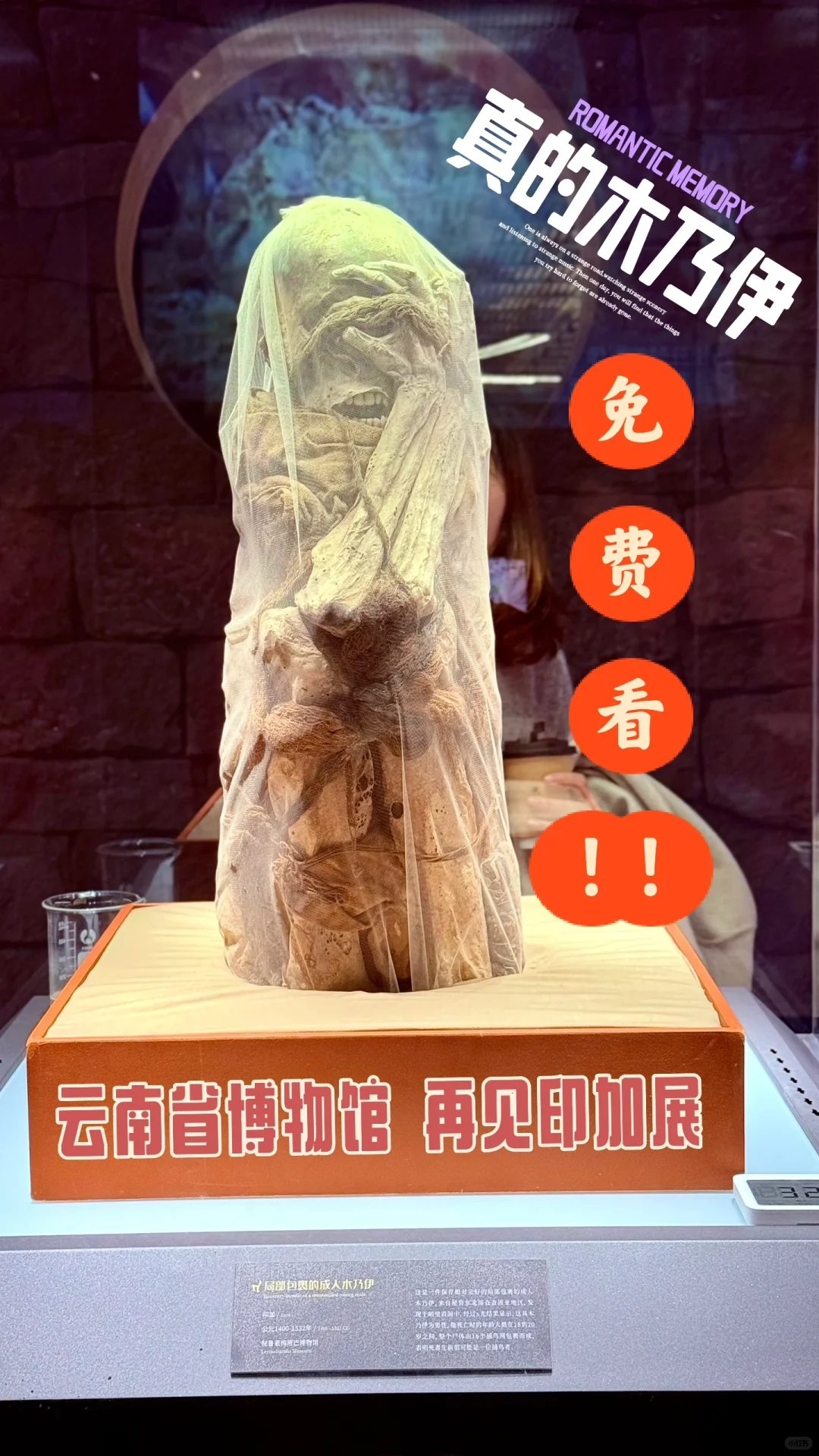 探秘省博新展，邂逅神秘与浪漫