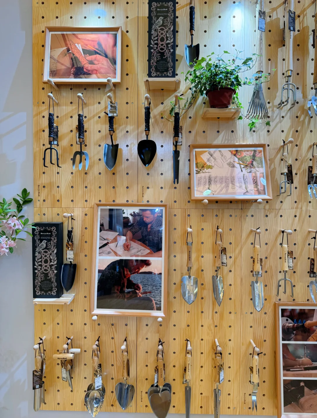 逛上海国际花展收获，附打卡攻略✅