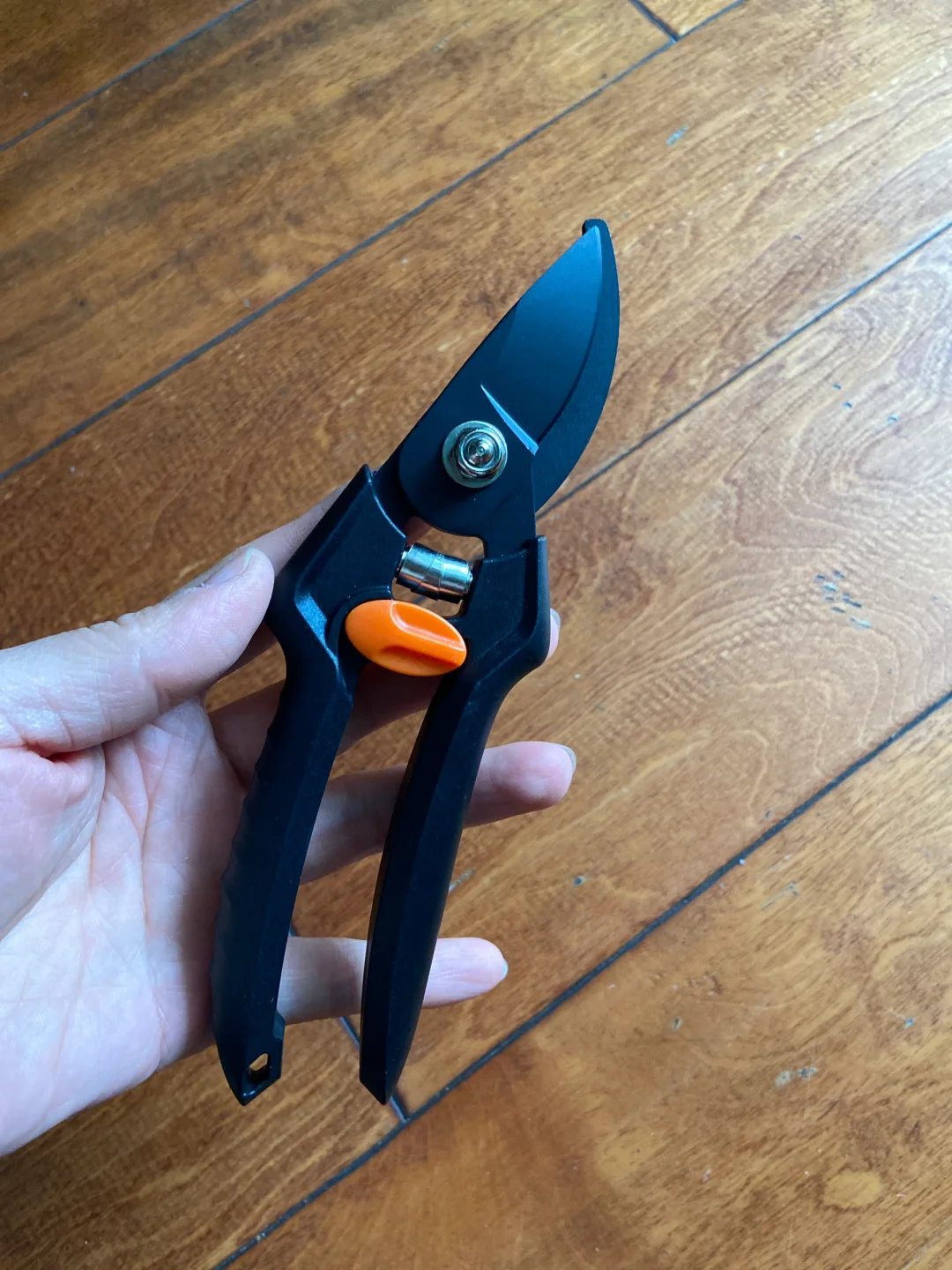 上海国际花卉展，羊毛去E1，买花草去E3&E4~