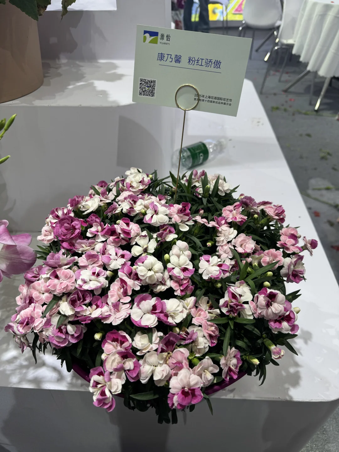 国际花卉园艺展览会，美