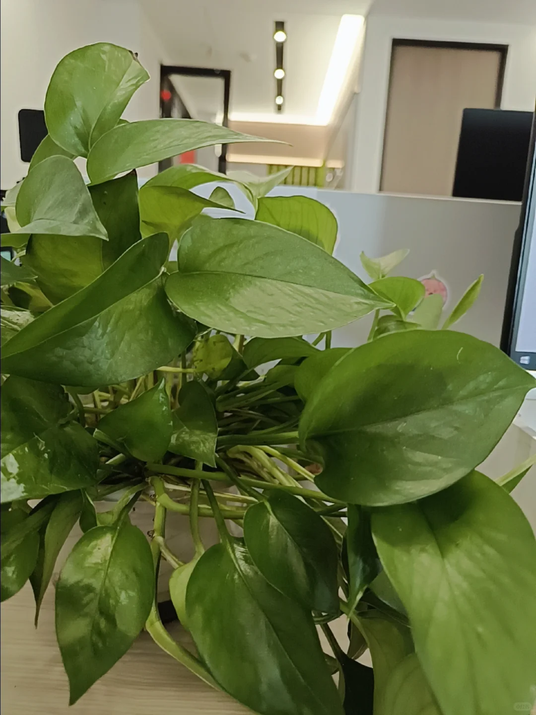 会展行业干了两年年薪百万？！