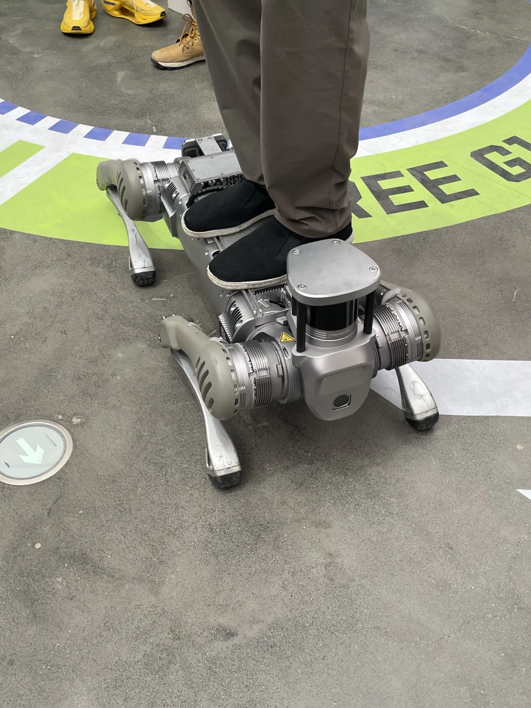 免费溜娃19|限时免费AI展‼️机器人随便撸?!